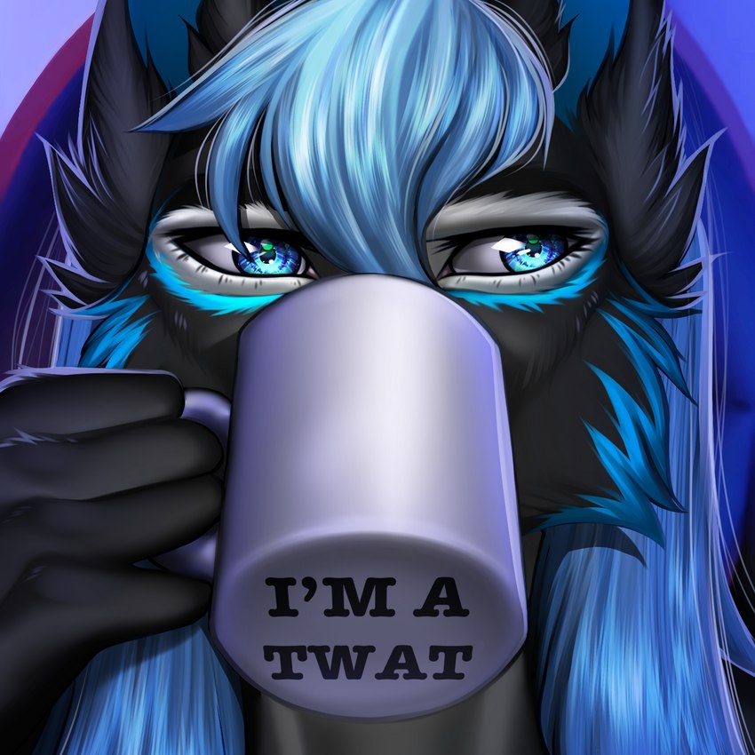 5_fingers anthro black_body black_fur blue_eyes blue_hair eyebrows eyelashes female fingers fur hair amur canid canine mammal 1:1 2021 digital_media_(artwork) hi_res icon