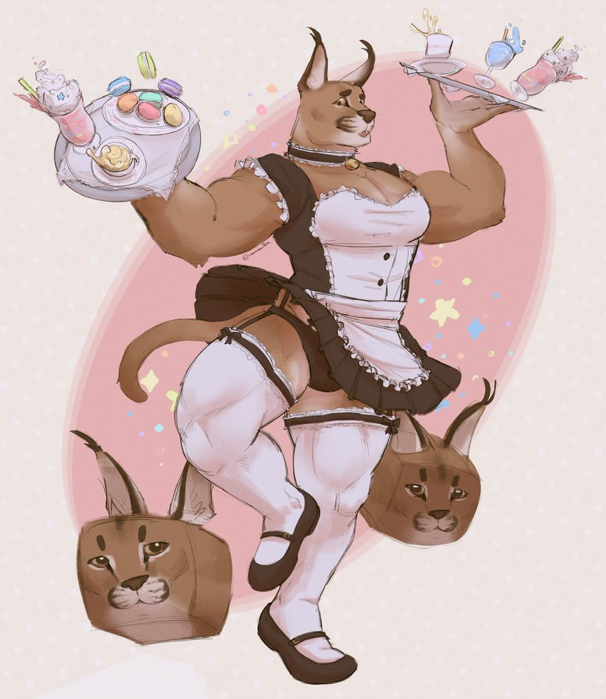 alternative_fashion anthro apron beverage biceps big_muscles big_pecs blep border clothed clothing coffee collar container cookie crossdressing cube cup dress drinking_straw eyebrows food footwear frilly frilly_clothing fur garter_belt garter_straps glass glass_container glass_cup grey_border j-fashion lace legwear lolita_(fashion) macaron_(food) maid_uniform male milkshake muscular muscular_anthro muscular_male on_one_leg panties pecs pink_background plate quads saucer shoes simple_background smile socks solo standing text thigh_highs thigh_socks tongue tongue_out tuft underwear uniform upskirt vanvantea real_world roblox big_floppa caracal caracal_(genus) felid feline mammal 2022 hi_res meme url