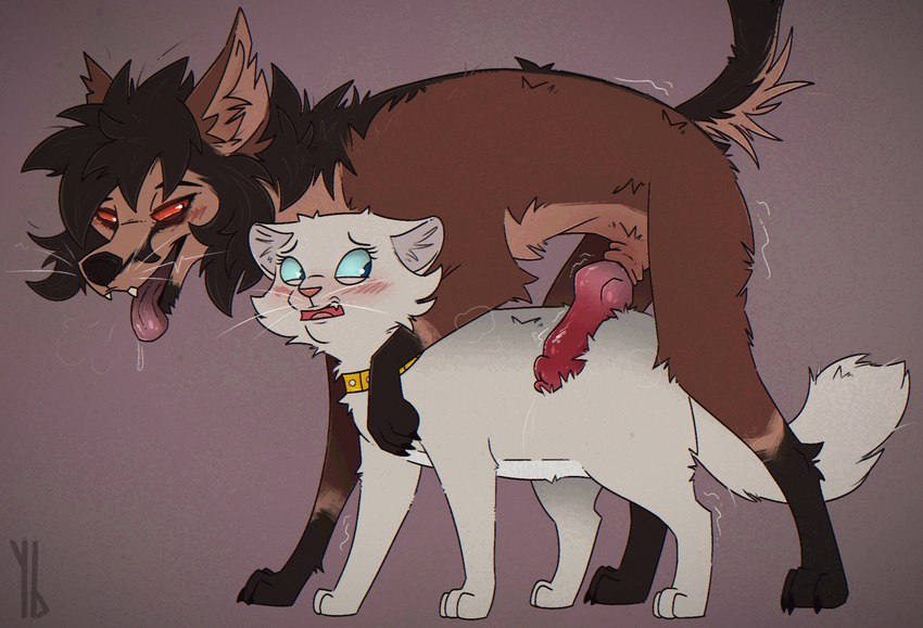 anatomically_correct anatomically_correct_genitalia anatomically_correct_penis animal_genitalia animal_penis aroused black_nose blue_eyes blue_sclera blush bodily_fluids breath brown_body brown_fur canine_genitalia canine_penis collar countershading drooling duo erection fangs female feral feral_with_hair fur genital_fluids genitals hair imminent_sex interspecies intimidation inviting knot larger_male leaking_precum looking_back male male/female monotone_background monotone_body monotone_fur motion_lines multicolored_body multicolored_fur nervous open_mouth panting paws penis penis_on_back pink_nose precum quadruped questionable_consent red_eyes red_sclera retracted_sheath saliva shaking sheath side_view simple_background size_difference smaller_female standing studded_collar studs tail tan_body tan_fur teeth tongue tongue_out trembling two_tone_body two_tone_fur whiskers white_body white_fur worried yellow_collar yaldabroth disney the_aristocats broth_(yaldabroth) duchess_(aristocats) canid canine domestic_cat felid feline felis fox mammal digital_media_(artwork) hi_res