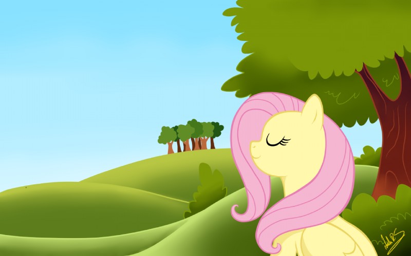 fluttershy (friendship is magic and etc) created by nana-z