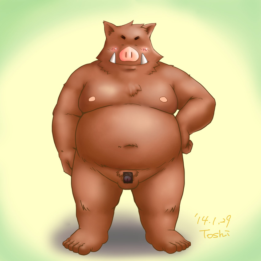 anthro balls belly brown_body brown_fur censor_bar eyes_closed fur genitals humanoid_hands ineffective_censorship kemono male moobs navel nipples overweight overweight_anthro overweight_male penis pubes simple_background solo translucent_censor translucent_censor_bar toshi_(artist) mammal suid suine sus_(pig) wild_boar 1:1 2014 censored