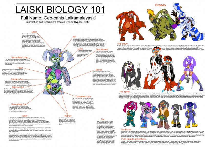 ambiguous_gender anatomy brain clothing explanation internal lineup nightmare_fuel nude organs solo species_sheet standing text the_more_you_know wall_of_text weapon lex_cypher ingram innk palor pauly_(laiski) slavid laiski 2007 biological_illustration colored english_text hi_res model_sheet technical_illustration