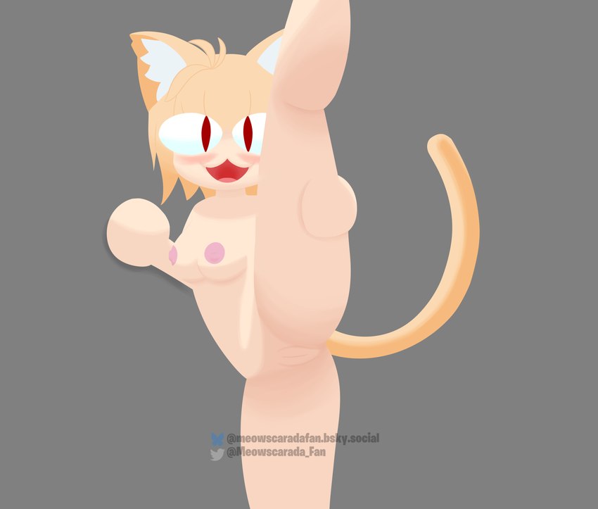 blush female flexible genitals hair inner_ear_fluff looking_at_viewer nipples one_leg_up orange_hair presenting presenting_pussy pussy raised_leg raised_tail solo splits spread_legs spreading standing tail tuft vertical_splits wemacaten tsukihime type-moon neco-arc animal_humanoid felid felid_humanoid humanoid mammal mammal_humanoid neco_spirit absurd_res hi_res