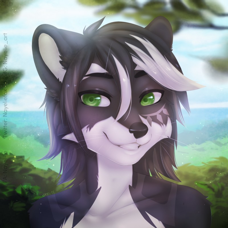 black_hair day detailed_background eyebrows eyelashes green_eyes hair outside sky solo whiskers nayel-ie mammal procyonid raccoon 1:1 2019 digital_media_(artwork) headshot_portrait hi_res portrait