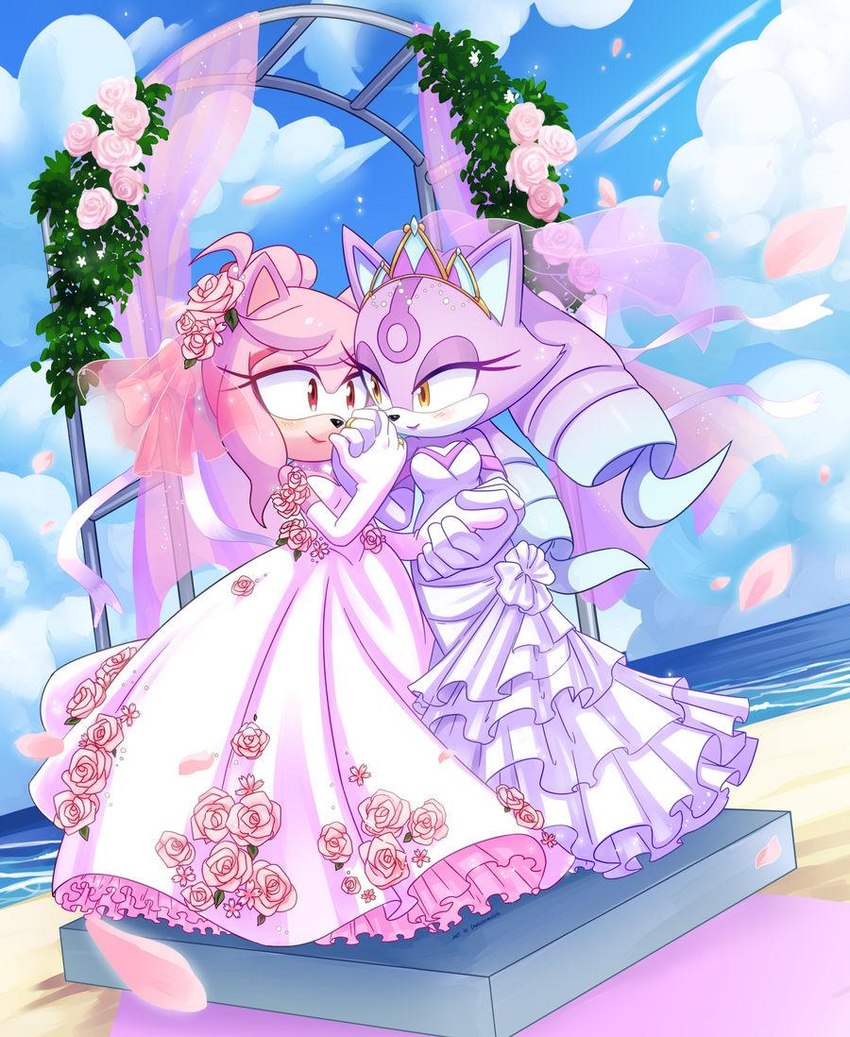 amy rose and blaze the cat (sonic the hedgehog (series) and etc) created by drawloverlala