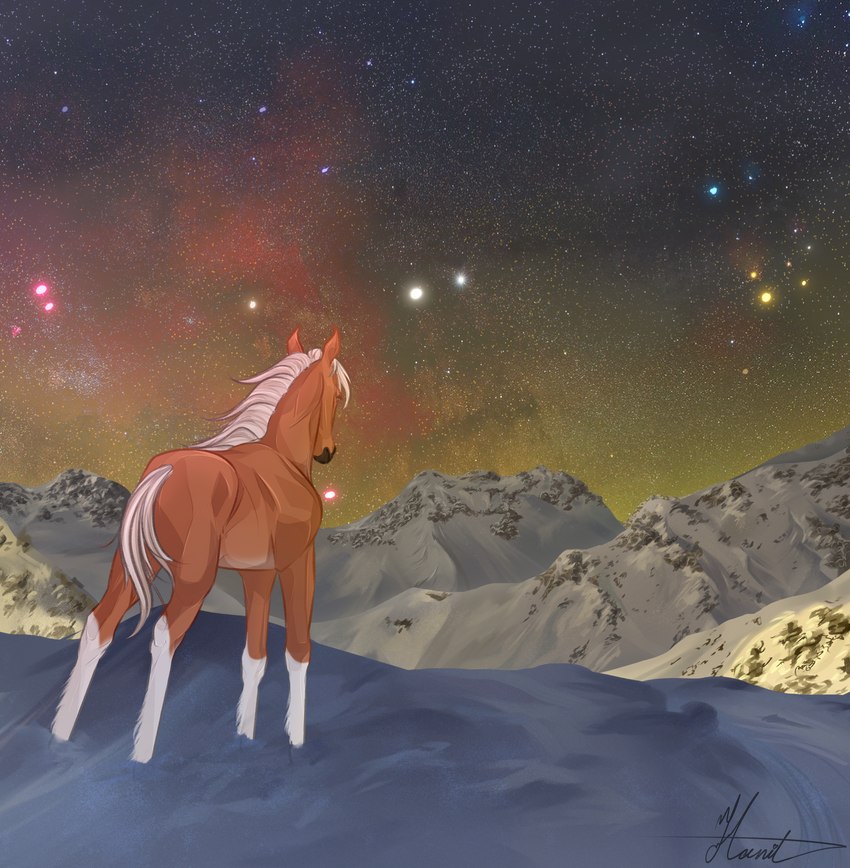 ambiguous_gender cosmic_background feral mountain mountain_range night sky snow solo star starry_background starry_sky hanilimnida maxym_(bloopertrooper) dolehest equid equine horse mammal absurd_res hi_res male_(lore)