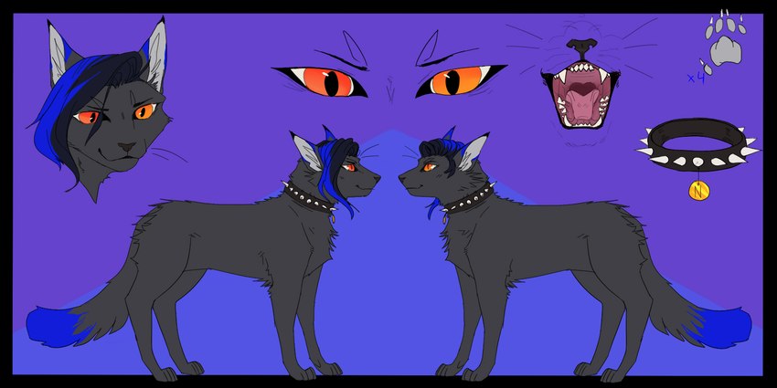 collar female feral fur hair heterochromia long_hair neckwear open_mouth pawpads smile solo teeth tongue scoutface ghost_aldaine domestic_cat felid feline felis mammal 2:1 hi_res model_sheet