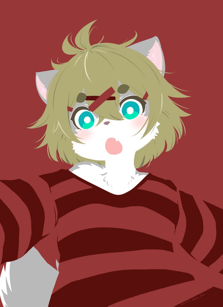 anthro blush clothed clothing cute_fangs fangs female female_anthro flat_chested fur hair kemono looking_at_viewer multicolored_body multicolored_fur open_mouth shirt solo teeth topwear young young_anthro young_female koishi_chikasa laika_(koishi_chikasa) canid canine canis domestic_dog mammal 2022 absurd_res digital_media_(artwork) flat_colors hi_res