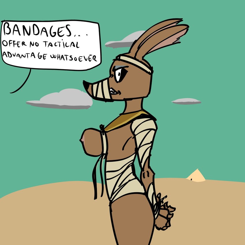 anthro bdsm bondage bound breast_squish breasts female growling mummified rope solo squish idontwantobeheretoo disney ducktales ducktales_(2017) egyptian_mythology middle_eastern_mythology mythology amunet_(ducktales) canid canine canis jackal mammal 1:1 hi_res