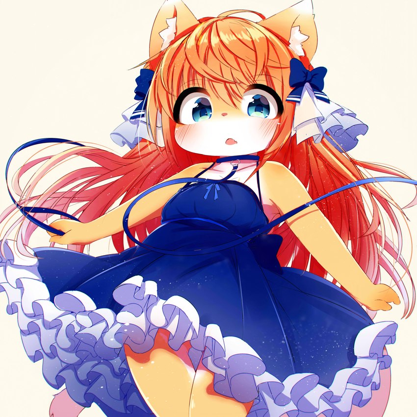 alternative_fashion anthro blue_clothing blue_dress blue_eyes blue_ribbon blush breasts casual_lolita clothing dress ear_tuft female female_anthro fingers fur hair j-fashion kemono lolita_(fashion) long_hair open_mouth orange_body orange_fur orange_hair simple_background small_breasts solo standing tuft white_background young young_anthro young_female ne_(nefuraito336) domestic_cat felid feline felis mammal 1:1 2021 absurd_res hi_res