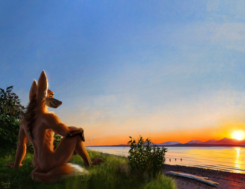 anthro beach brown_body brown_fur day detailed_background fur grass male nude outside plant seaside sitting sky smile solo sun swish canid canine mammal maned_wolf 2020 digital_media_(artwork)