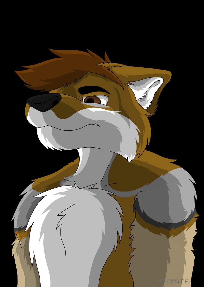 anthro black_eyebrows black_nose bodyshot brown_eyes brown_hair eyebrows fur hair inner_ear_fluff male multicolored_body multicolored_fur solo tan_body tan_fur tuft white_inner_ear_fluff reiyoyote canid canine fox mammal absurd_res alpha_channel hi_res