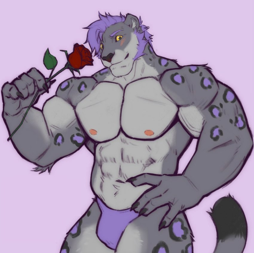 anthro blush claws flower fur grey_body grey_fur hair leopard_spots looking_at_viewer male nipples pecs plant purple_background purple_hair rose_(flower) simple_background solo spots text yellow_eyes freya_draws omegle felid mammal pantherine snow_leopard 2023 english_text