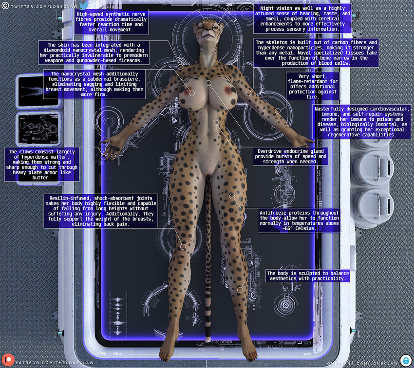 amazon analysis anthro artificial_lifeform athletic athletic_anthro athletic_female big_breasts bioroid braided_hair breasts curvy_figure female hair hourglass_figure laboratory laboratory_equipment long_legs lying muscular muscular_anthro muscular_female on_back scientific_instrument slim small_waist solo super_soldier tall text text_box unconscious loneclaw ennex_wandi_(loneclaw) cheetah felid feline mammal 3d_(artwork) daz_studio_(artwork) digital_media_(artwork) english_text