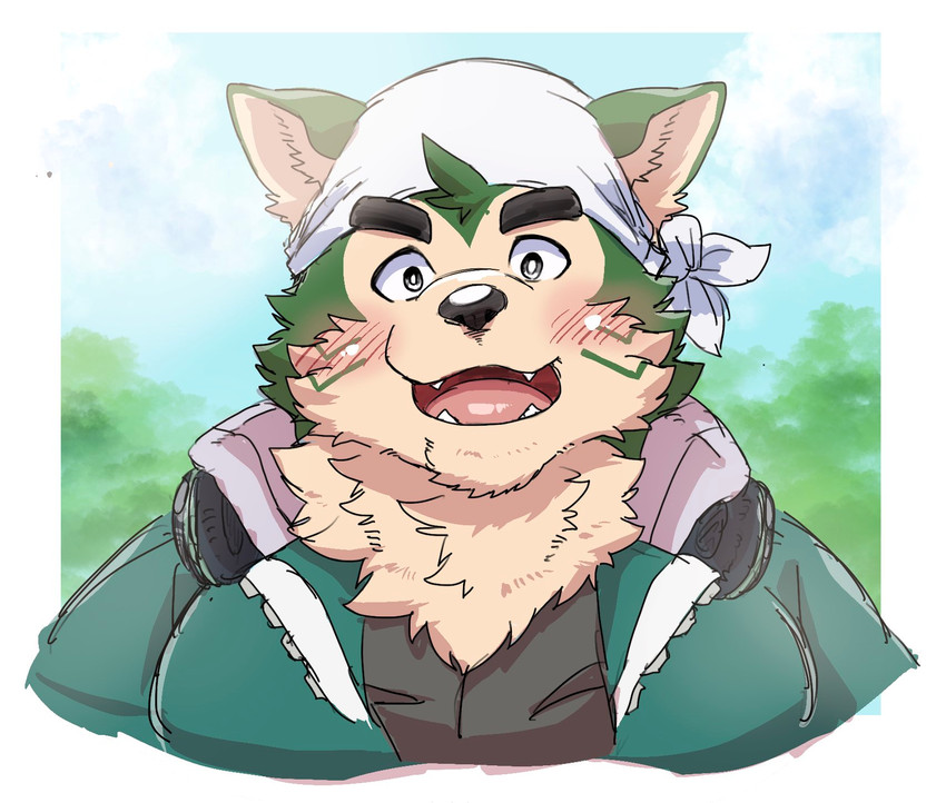 anthro blush clothing eyebrows green_clothing kerchief male neck_tuft slightly_chubby solo thick_eyebrows tuft kosei_ginshari okmt_redbull lifewonders live_a_hero mokdai canid canine canis domestic_dog mammal bust_portrait hi_res portrait