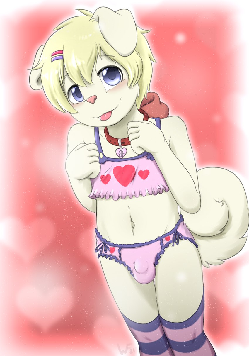 anthro blep blush bra bulge button_bra button_underwear clothed clothing collar crossdressing detailed_bulge femboy floppy_ears frilly frilly_clothing frilly_panties frilly_underwear heart_bra heart_clothing heart_panties heart_print heart_print_bra heart_print_panties heart_print_underwear heart_symbol heart_underwear legwear looking_at_viewer male midriff navel panties panties_bulge penis_in_panties pink_bra pink_clothing pink_panties pink_underwear simple_background smile solo standing stockings tail tongue tongue_out topwear training_bra underwear underwear_only young young_anthro young_male khaimera river_(khaimera) canid canine canis domestic_dog husky mammal nordic_sled_dog spitz absurd_res digital_media_(artwork) hi_res