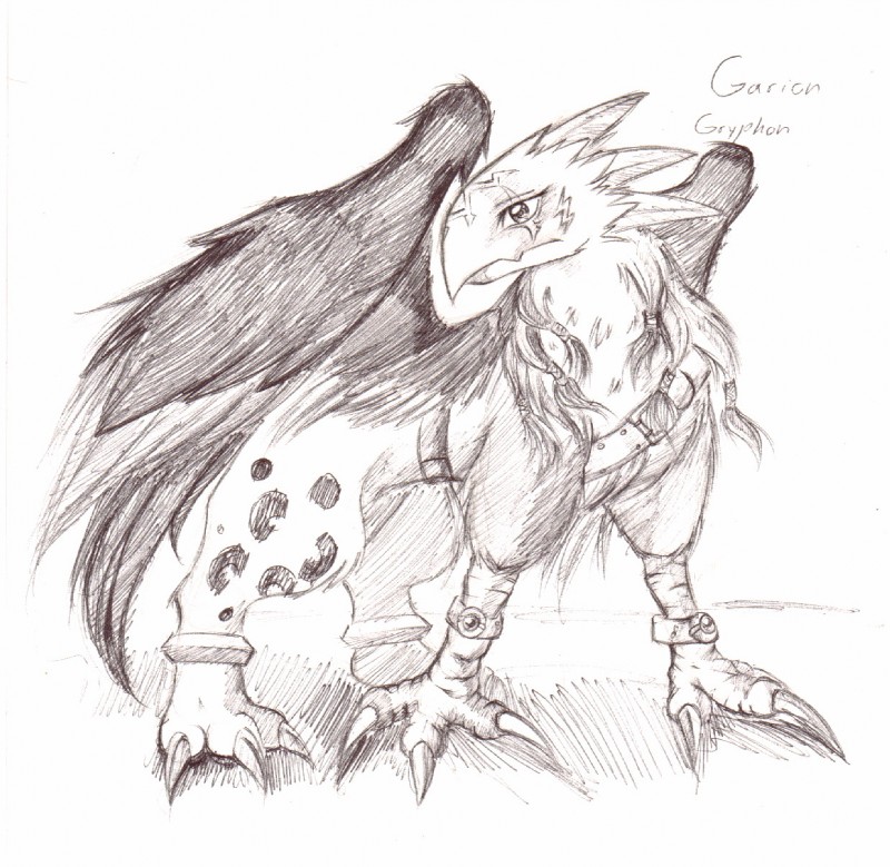 beak belt claws feathered_wings feathers feral fur male markings nude scar simple_background solo spots text toe_claws white_background wings tigerlilylucky legendz mythology garion avian gryphon mythological_avian mythological_creature 2009 english_text hi_res sketch traditional_media_(artwork)