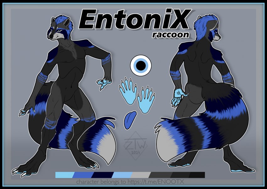 anthro black_border border male solo zhekathewolf entonix mammal procyonid raccoon hi_res model_sheet