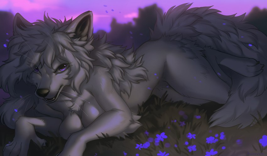 angry anthro arm_tuft breasts chest_tuft elbow_tuft featureless_breasts featureless_crotch female flower fur grass hair long_hair lying nude on_front on_grass outside plant purple_eyes solo tail tuft whiskers white_body white_fur white_hair hioshiru freya_(joeumbre) canid canine canis mammal wolf 2024 colored digital_media_(artwork) full-length_portrait portrait shaded