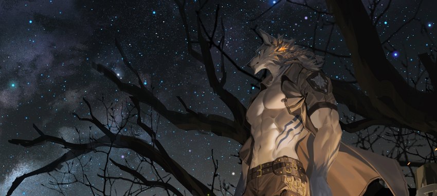 abs anthro barazoku big_muscles dead_tree fur male muscular muscular_anthro muscular_male night pecs plant sky standing star starry_sky tree white_body white_fur yellow_body yellow_fur yifeng_lz canid canine canis mammal wolf 2024 hi_res