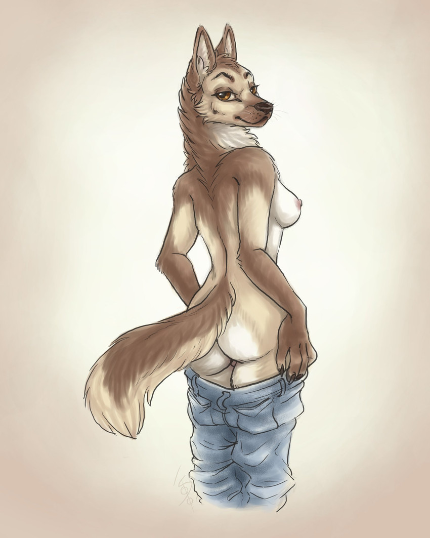 anthro black_nose bottomwear breasts brown_body brown_eyes brown_fur butt clothed clothing denim denim_bottomwear denim_clothing female fur inner_ear_fluff jeans looking_at_viewer looking_back multicolored_body multicolored_fur nipples nude pants partially_clothed rear_view side_boob smile solo tan_body tan_fur tuft undressing whiskers white_body white_fur s00t kirsten_odessa canid canine canis domestic_dog german_shepherd herding_dog mammal pastoral_dog 2021 4:5 digital_media_(artwork) hi_res