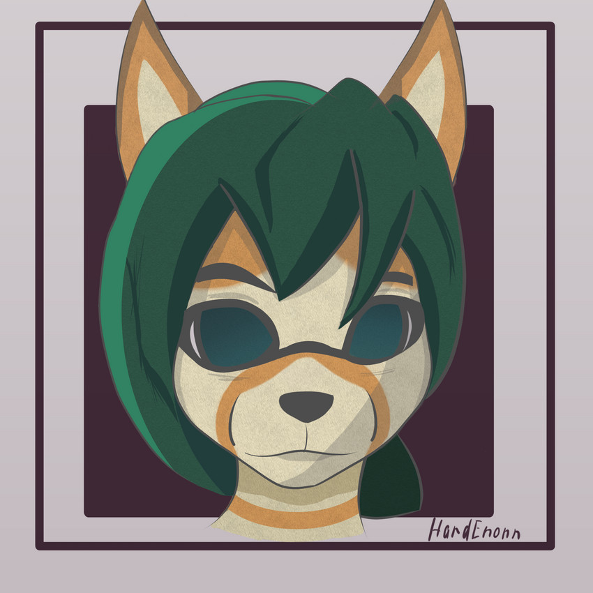 anthro female front_view green_eyes green_hair hair looking_at_viewer no_pupils simple_background solo hardenonn canid canine fennec_fox fox mammal true_fox 1:1 digital_media_(artwork) headshot_portrait hi_res icon portrait signature