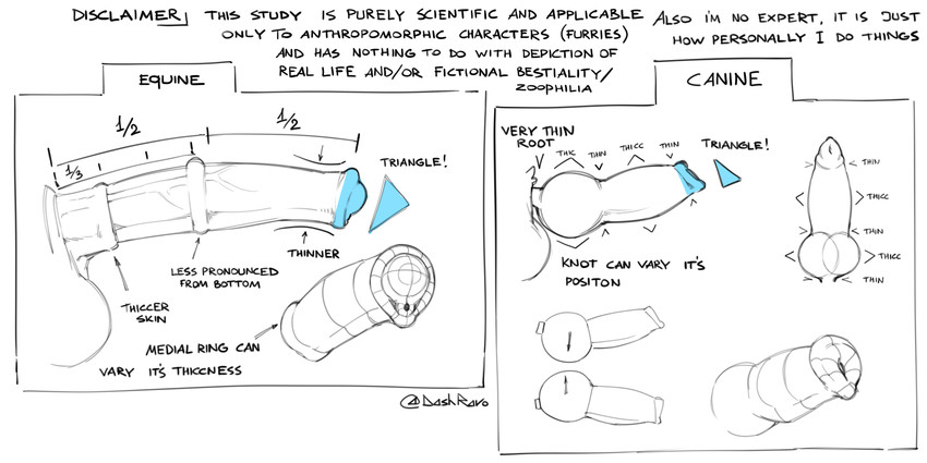 anatomical_diagram anatomy animal_genitalia animal_penis balls canine_genitalia canine_penis disembodied_penis equine_genitalia equine_penis erection genitals how-to knot knot_root male medial_ring penis simple_background text white_background dash_ravo canid canine equid equine mammal 2020 absurd_res digital_media_(artwork) english_text hi_res monochrome