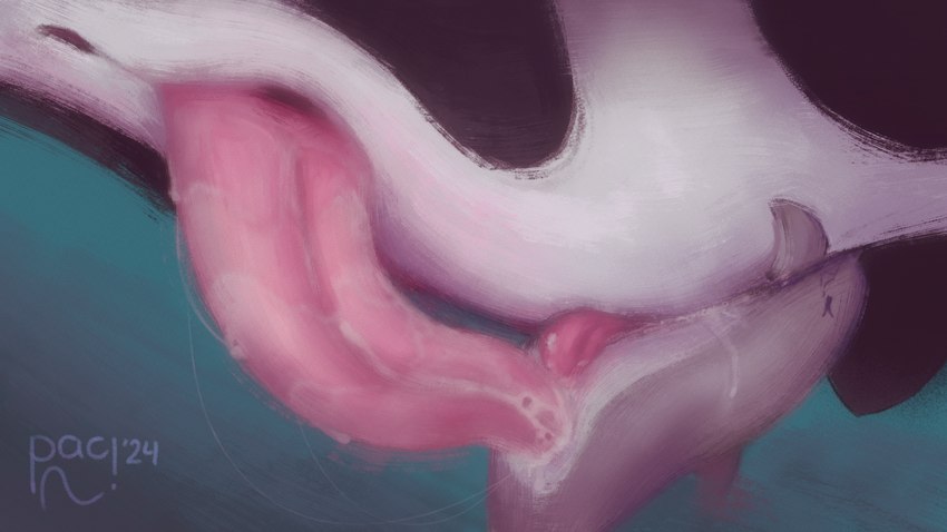 anal anal_penetration animal_genitalia animal_penis bellyjob big_dom_small_sub bodily_fluids cetacean_genitalia cetacean_penis close-up cum cum_in_ass cum_inside cum_while_penetrated cumshot dominant dominant_feral dominant_male duo ejaculation erection feral feral_on_feral feral_penetrated feral_penetrating feral_penetrating_feral from_front_position fully/fully_submerged fully_submerged genital_fluids genitals hands-free larger_feral larger_male larger_on_top looking_pleasured lying male male/male male_on_bottom male_on_top male_penetrated male_penetrating male_penetrating_male missionary_position on_back on_bottom on_top orgasm penetration penile penile_penetration penis penis_in_ass predator/prey predator_penetrating_prey sex sex_in_water side_view simultaneous_orgasms size_difference smaller_feral smaller_male smaller_penetrated solo_focus submissive submissive_feral submissive_male tapering_penis underwater underwater_sex water pacwhal bottlenose_dolphin cetacean dolphin mammal marine oceanic_dolphin orca toothed_whale 16:9 absurd_res hi_res huge_filesize widescreen