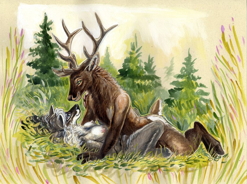 anthro antlers breasts brown_body brown_fur dominant dominant_male dominant_prey duo female female_on_bottom from_front_position fur grey_body grey_fur hair happy happy_sex hooves horn interspecies looking_at_another lying male male/female male_on_top missionary_position nipples on_back on_bottom on_ground on_top outside penetration plant predator/prey prey_penetrating_predator romantic romantic_couple sex short_tail smile submissive submissive_female submissive_predator tail tree white_hair cadmiumtea canid canine canis cervine deer elk mammal wolf 2022 traditional_media_(artwork)