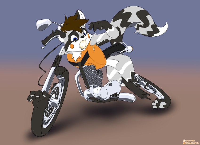 ambiguous_gender anthro_to_inanimate blue_eyes brown_hair fingerpads fur grey_body grey_fur hair inanimate_transformation motorcycle open_mouth pawpads simple_background solo surprise transformation vehicle vehicle_transformation what wheel halcy0n remy_raccoon canid mammal 2022 hi_res