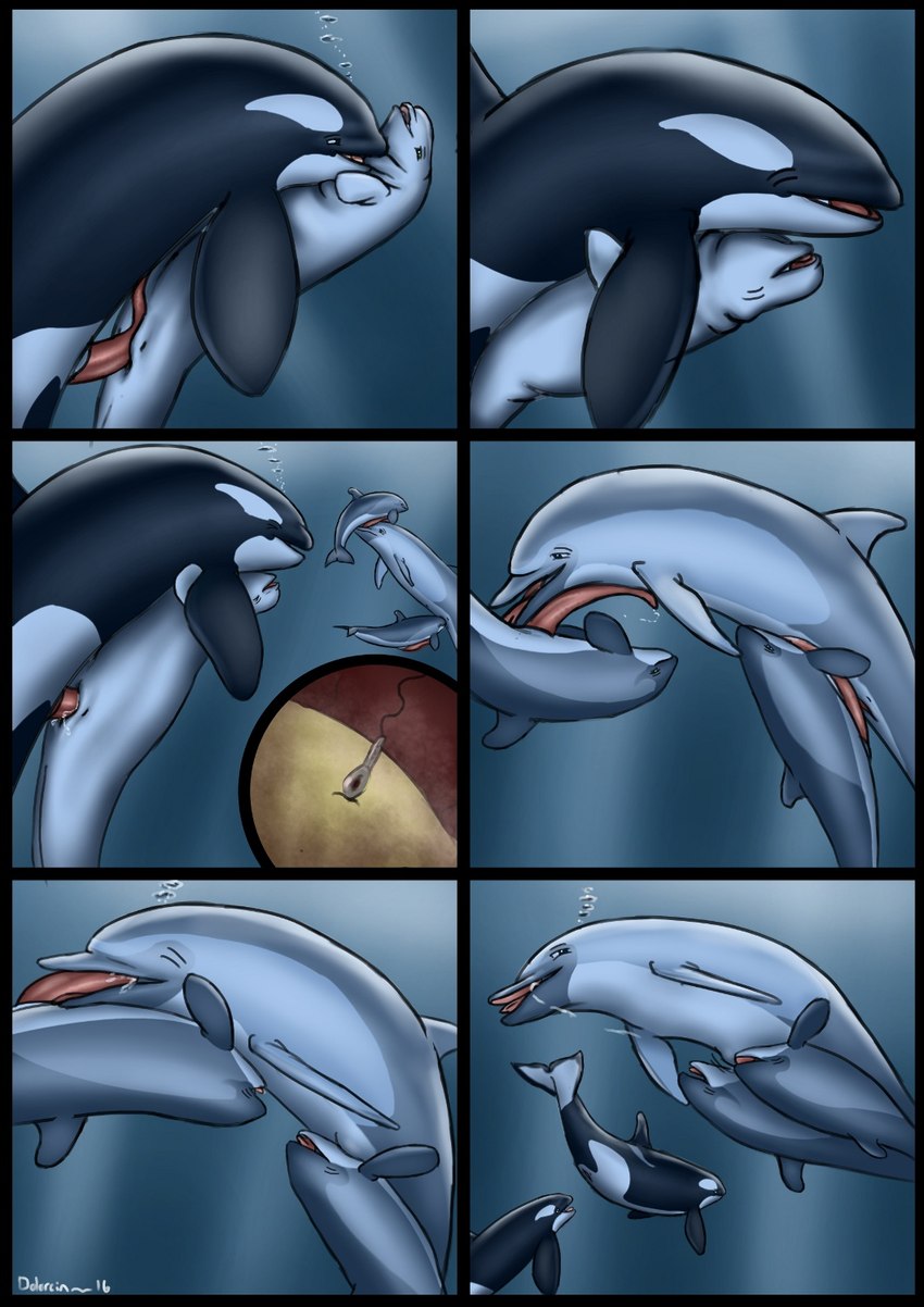 abdominal_bulge anal animal_genitalia animal_penis animal_pussy bodily_fluids cetacean_genitalia cetacean_penis cetacean_pussy cum cum_in_mouth cum_in_pussy cum_in_water cum_inside double_penetration erection fellatio female female_penetrated feral feral_on_feral feral_penetrated feral_penetrating feral_penetrating_feral genital_fluids genital_slit genitals grinding group group_sex impregnation larger_female larger_penetrated long_penis male male/female male_penetrating male_penetrating_female mammary_slits oral oral_penetration ovum penetration penile penile_penetration penis penis_in_mouth penis_in_pussy pussy rimming sex size_difference smaller_male sperm_cell spitroast tapering_penis text threesome underwater underwater_sex vaginal vaginal_penetration water year dolorcin jyan beluga cetacean dolphin harbour_porpoise mammal marine monodontid oceanic_dolphin orca porpoise striped_dolphin toothed_whale 2016 artist_name hi_res