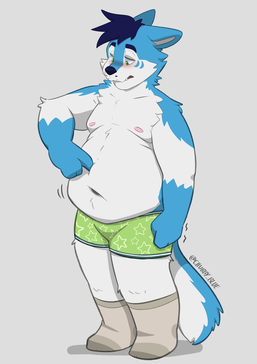 anthro belly blue_hair blush cheek_markings clothed clothing facial_markings footwear green_clothing green_eyes green_underwear hair head_markings male markings overweight overweight_anthro overweight_male poking poking_stomach slightly_chubby slightly_chubby_male socks solo underwear underwear_only white_belly bluechubbywolf chubby_blue wintie canid canine canis domestic_dog husky hybrid mammal nordic_sled_dog spitz wolf absurd_res hi_res