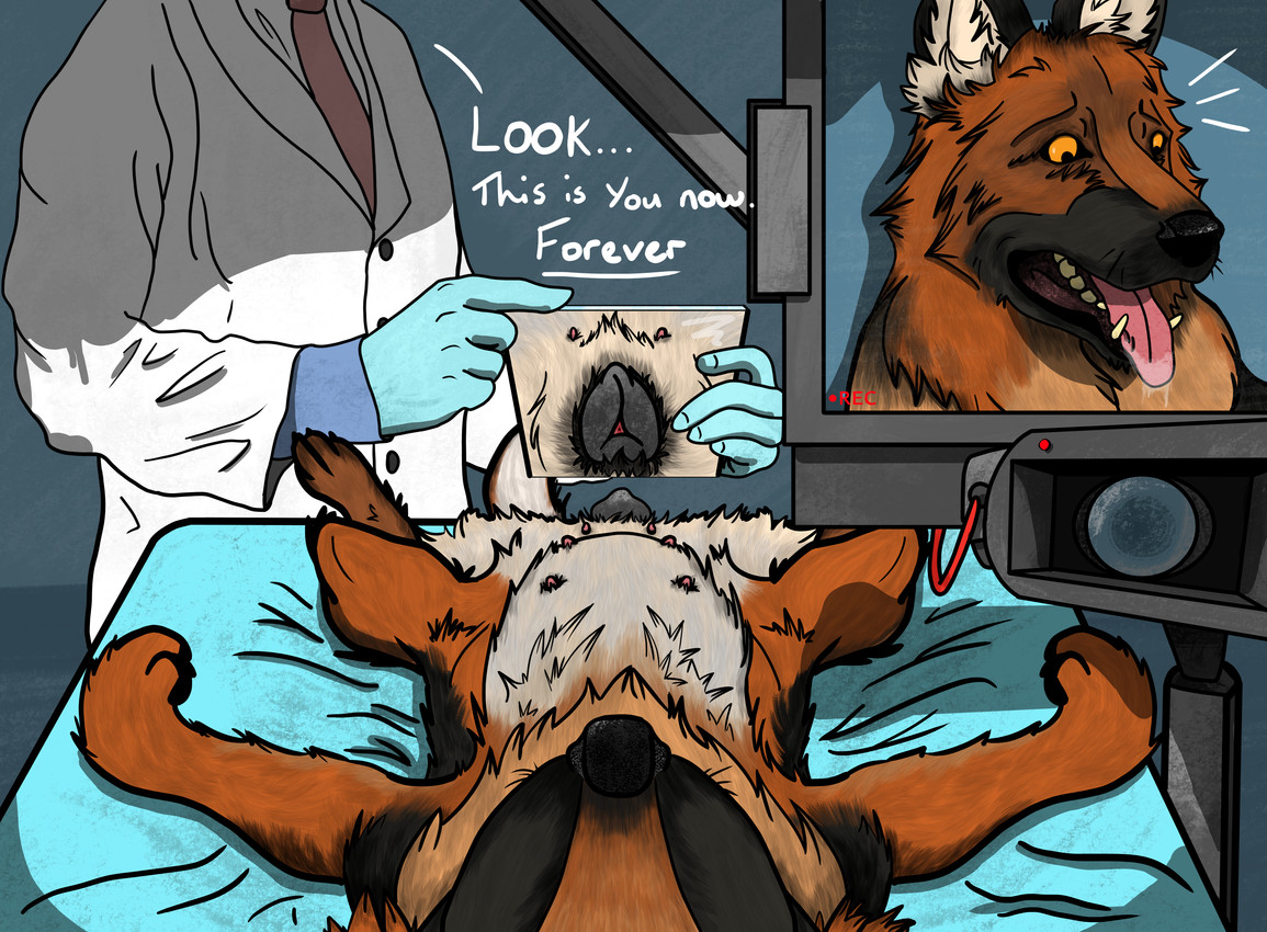 after_transformation anatomically_correct anatomically_correct_genitalia anatomically_correct_vulva animal_genitalia animal_vulva bodily_fluids camera canine_genitalia canine_vulva clothing coat doctor drooling electronics female female_pov feral feral_pov first_person_view gender_transformation genitals lab_coat lying male mirror monitor mtf_transformation on_back open_mouth permanent permanent_transformation saliva spread_legs spreading text topwear transformation transformation_pov vulva renwick-fox_(artist) canid canine canis domestic_dog german_shepherd herding_dog human mammal pastoral_dog absurd_res digital_media_(artwork) hi_res huge_filesize story story_in_description