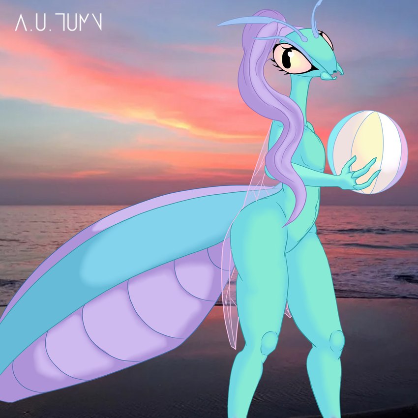 arthropod_abdomen ball beach belly big_abdomen big_butt butt evening female navel nude sea solo volleyball_(ball) water wings a.u.tumn arthropod insect mantis 1:1 absurd_res hi_res