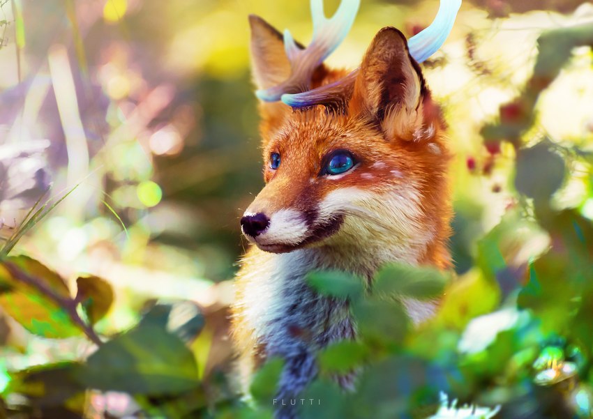 ambiguous_gender antlers black_nose blue_eyes blurred_background feral fur horn inner_ear_fluff markings orange_body orange_fur outside plant solo spots spotted_body spotted_fur text tuft white_body white_fur white_spots flutti canid canine deer fox hybrid mammal red_fox true_fox 2023 absurd_res artist_name digital_media_(artwork) hi_res