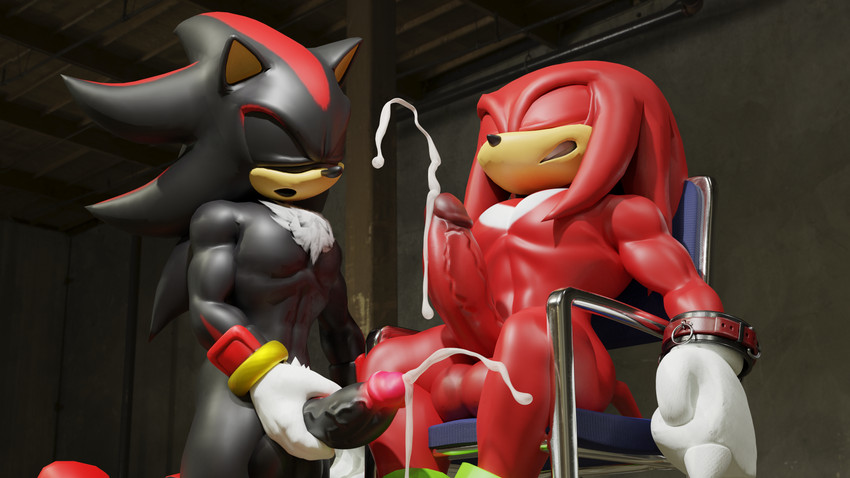 knuckles the echidna and shadow the hedgehog (sonic the hedgehog (series) and etc) created by twintails3d and twintailssfm