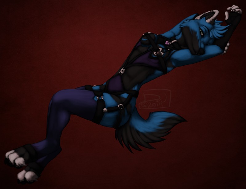 anthro biped blue_body blue_fur blue_hair breasts clothing collar ear_piercing female fingerless_gloves fur gloves green_eyes hair hands_behind_head handwear legwear looking_at_viewer lying nipples on_back piercing pose solo stockings runicnature canid canine canis mammal wolf 2014 pinup