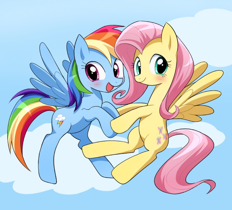 fluttershy and rainbow dash (friendship is magic and etc) created by ryuu chan