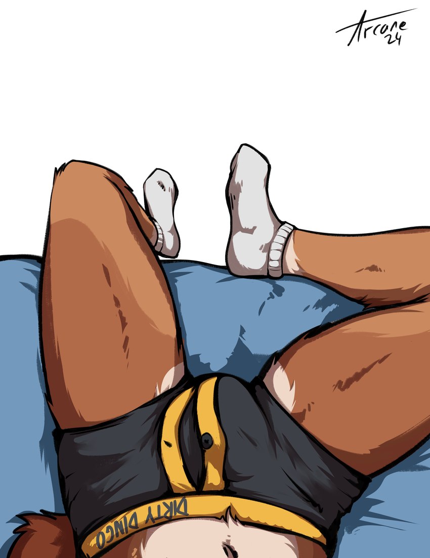 anthro bed boxer_briefs brown_body brown_fur bulge clothing footwear fur furniture lying lying_on_bed male on_bed socks solo underwear waist_down white_clothing white_footwear white_socks arcanewolfdragon cain_the_dingo canid canine canis dingo mammal absurd_res hi_res