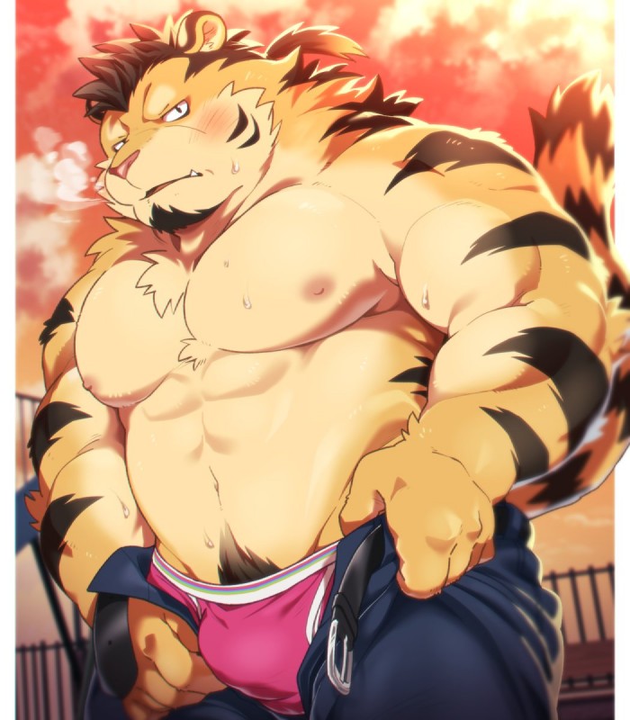 anthro blush bottomwear bulge clothing humanoid_hands male muscular muscular_anthro muscular_male nipples pants pecs solo underwear undressing hinami felid mammal pantherine tiger 2018 hi_res