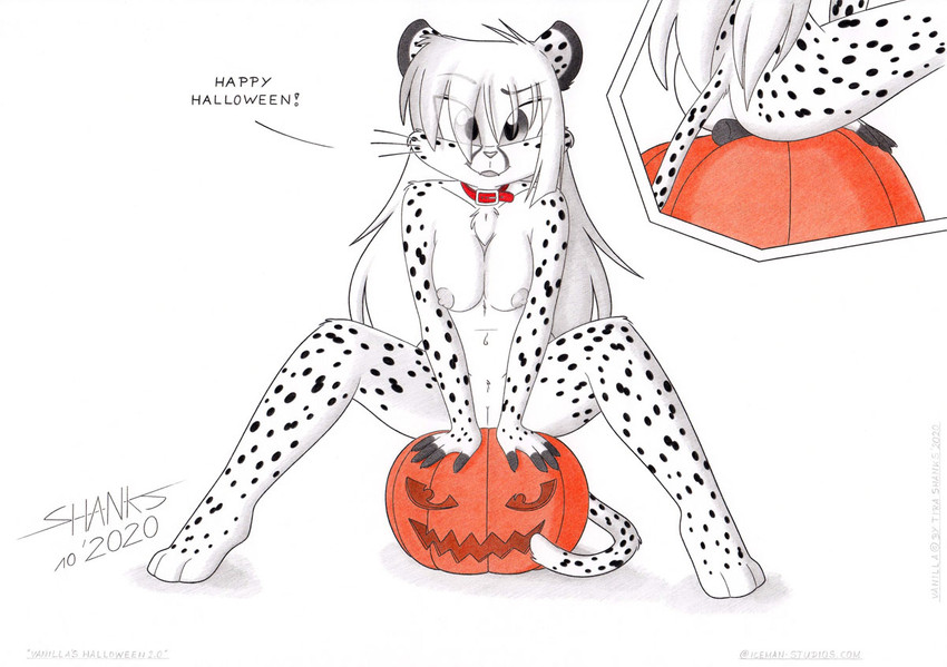 3_toes anthro breasts butt collar collar_only feet female food fruit genitals holidays nipples nude paws plant plantigrade pumpkin pussy solo toes tirashanks_(artist) halloween vanilla_(tirashanks) cheetah felid feline mammal