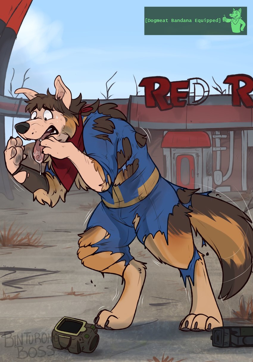 bodily_fluids bottomwear brown_body brown_fur clothed clothing detailed_background drooling ear_growth feral feral_transformation fur fur_growth growth gun hands_to_paws human_to_feral kerchief loss_of_dexterity male mid_transformation open_mouth pants pawpads paws pip-boy ranged_weapon red_kerchief saliva shirt snout solo species_transformation tail teeth tongue tongue_out topwear torn_bottomwear torn_clothing torn_pants torn_shirt torn_topwear transformation vault_suit weapon binturongboss fallout microsoft dogmeat canid canine canis domestic_dog german_shepherd herding_dog human mammal pastoral_dog hi_res signature