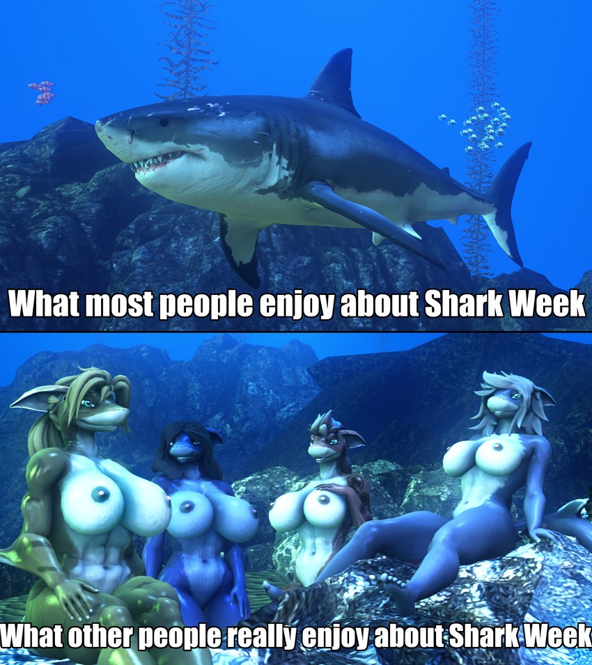 abs anthro big_breasts breasts caption female feral group looking_at_viewer muscular muscular_female nipples nude rock smile teeth text underwater water sanguine_paladin discovery_channel shark_week warfare_machine warfare_shark clownfish fish great_white_shark mackerel_shark marine pomacentrid shark white_shark 3d_(artwork) digital_media_(artwork) english_text hi_res meme source_filmmaker_(artwork)