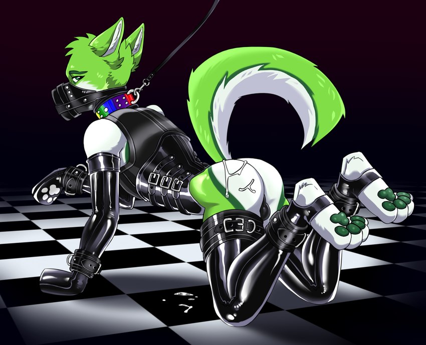 anthro balls bdsm black_nose blush bodily_fluids bondage bound butt clothed clothing collar cum cum_on_ground cum_on_self fur gag gagged genital_fluids genitals green_body green_eyes green_fur green_pawpads hair leash leather legwear lgbt_pride looking_at_viewer male pawpads petplay pride_colors puppyplay rainbow_collar rainbow_pride_colors roleplay simple_background smile solo white_body white_fur franset fidget_the_fox canid canine fox mammal absurd_res digital_media_(artwork) hi_res