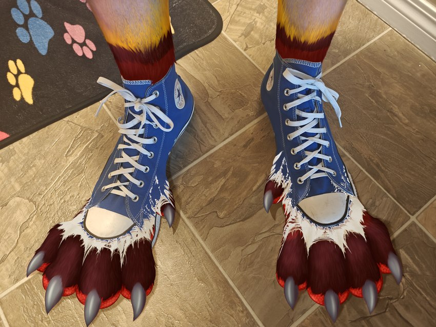 big_feet blue_clothing blue_footwear bursting claws clothing destroyed_clothing expansion feet foot_expansion foot_focus foot_transformation footwear fur paws popping red_body red_fur shoe_burst shoes shredding socks tearing torn_clothing torn_footwear torn_shoes torn_socks transformation white_clothing white_footwear white_socks jazzaaro converse foxlightning canid canine fox mammal 4:3 absurd_res draw_over hi_res