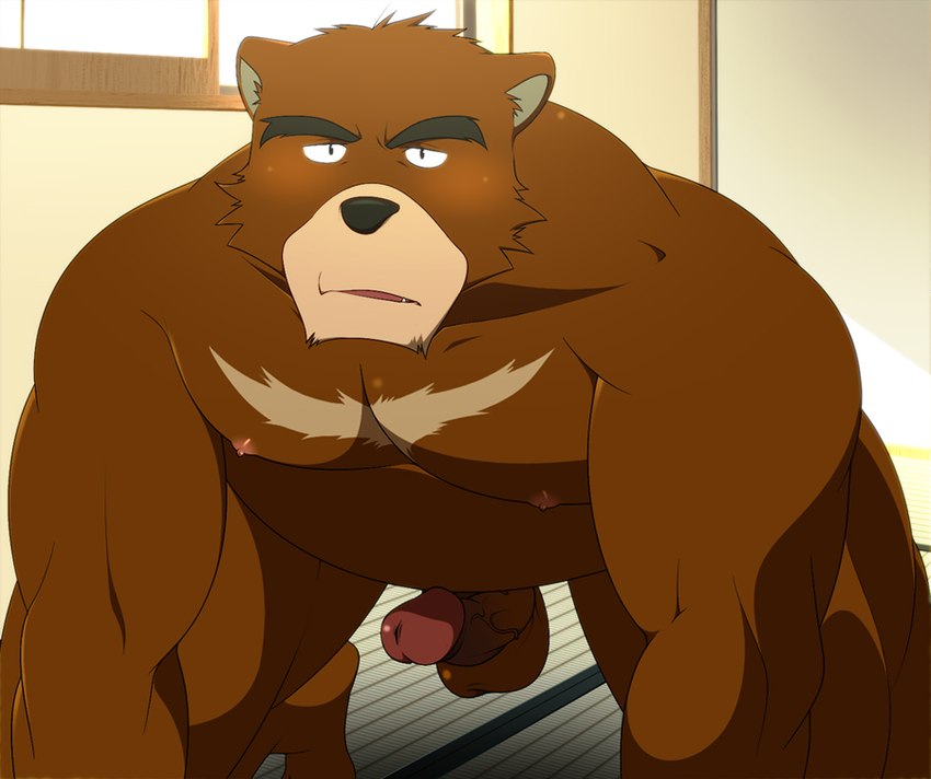 anthro balls belly black_nose blush brown_body erection genitals humanoid_genitalia humanoid_penis kemono male moobs nipples overweight overweight_male penis solo shun1124 morenatsu juuichi_mikazuki bear mammal 2014