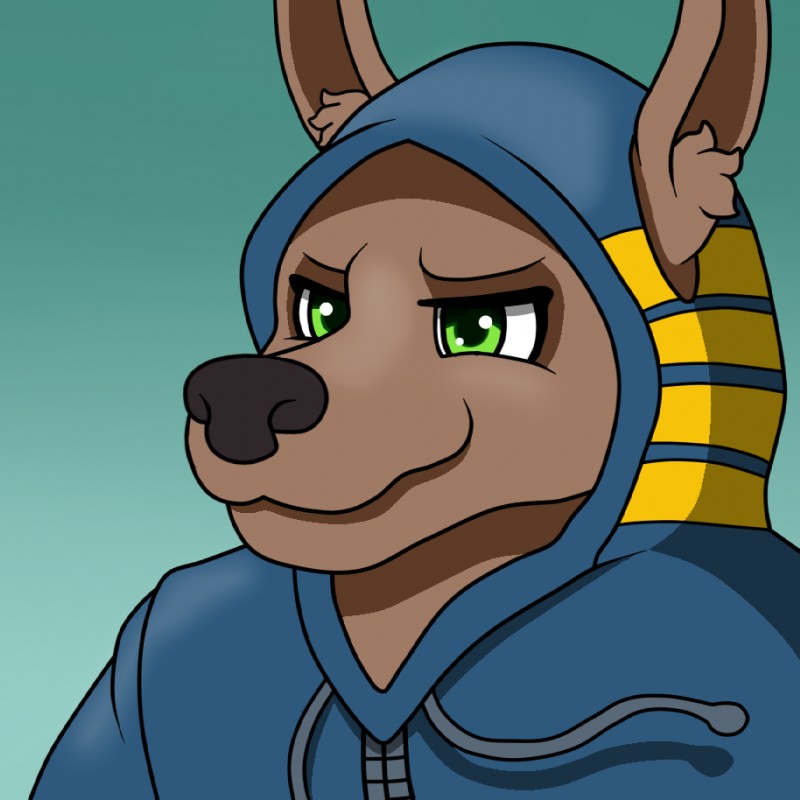 anthro brown_body brown_fur clothing fur green_eyes hoodie male smile solo topwear wildwolfproduction egyptian_mythology middle_eastern_mythology mythology smite anubis_(smite) anubian_jackal canid canine canis deity jackal mammal 1:1 digital_media_(artwork)