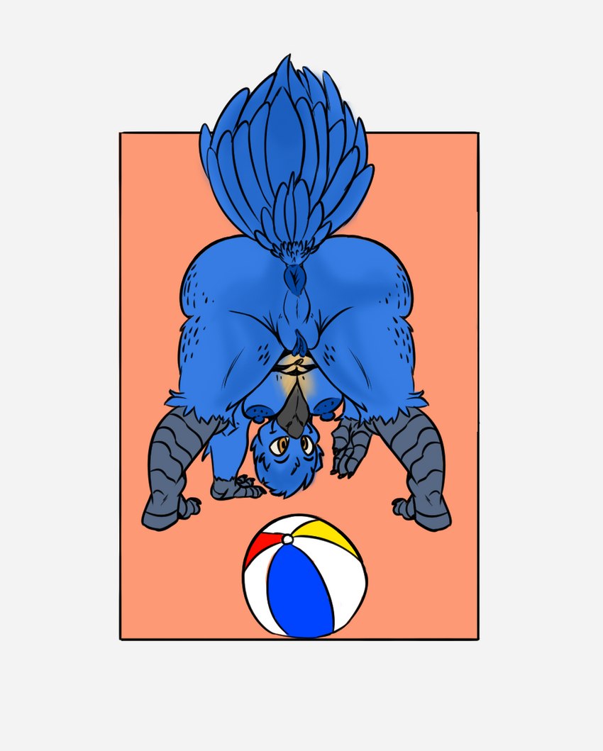 all_fours anthro anus areola ball beach_ball beak bent_over big_butt big_tail black_beak black_claws blue_anus blue_areola blue_body blue_feathers blue_fur blue_nipples blue_pussy blue_tail breasts brown_background brown_eyes butt claws feathers female fur genitals gesture inflatable looking_at_viewer looking_through looking_through_legs medium_breasts nipples presenting presenting_hindquarters pussy raised_tail simple_background smile solo tail tail_feathers thick_thighs white_background wide_hips kentuckiyucki bleu_(brick_break_after_dark) avian bird blue_bird digital_media_(artwork) full-length_portrait hi_res portrait shaded