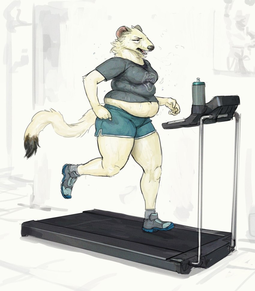 anthro belly bodily_fluids bottle bottomwear clothing container crop_top exercise female footwear fur hotpants overweight overweight_anthro overweight_female pants running shirt shoes shorts simple_background solo sweat topwear treadmill white_body white_fur cettus maren_sommer mammal mustelid musteline stoat true_musteline weasel 2020 hi_res