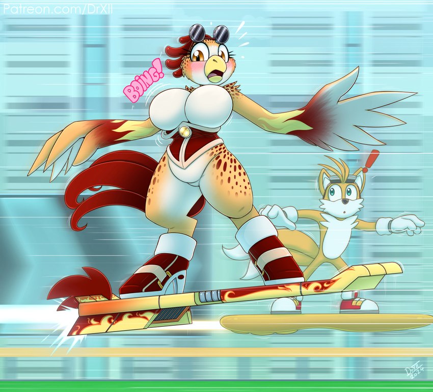 anthro beak big_breasts blue_eyes blush boots breasts clothing corset extreme_gear eyewear eyewear_on_head feathers female flame_pattern footwear fur gloves goggles handwear high_heeled_boots high_heels legwear lingerie non-mammal_breasts open_mouth race shoes sunglasses tail topwear wardrobe_malfunction wings yellow_eyes drxii sega sonic_riders sonic_the_hedgehog_(series) miles_prower rose_t_chicken avian bird canid canine chicken fox galliform gallus_(genus) mammal phasianid digital_media_(artwork)